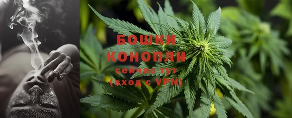 дурь Белокуриха