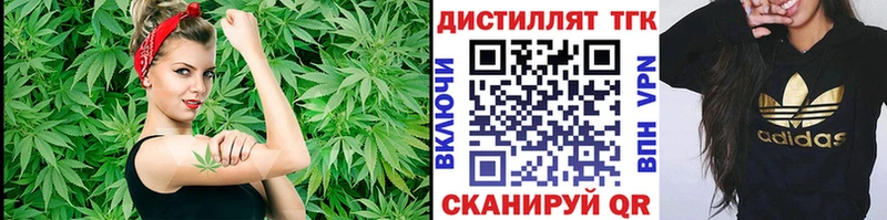 цены   Кохма  Дистиллят ТГК жижа 